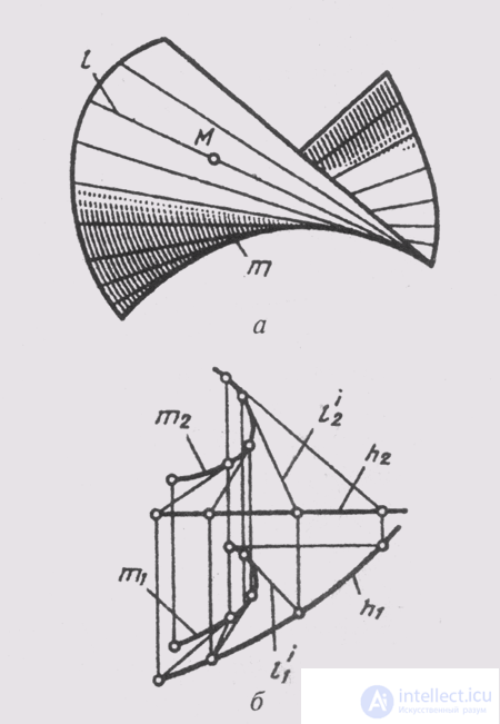   51. Torso surfaces 