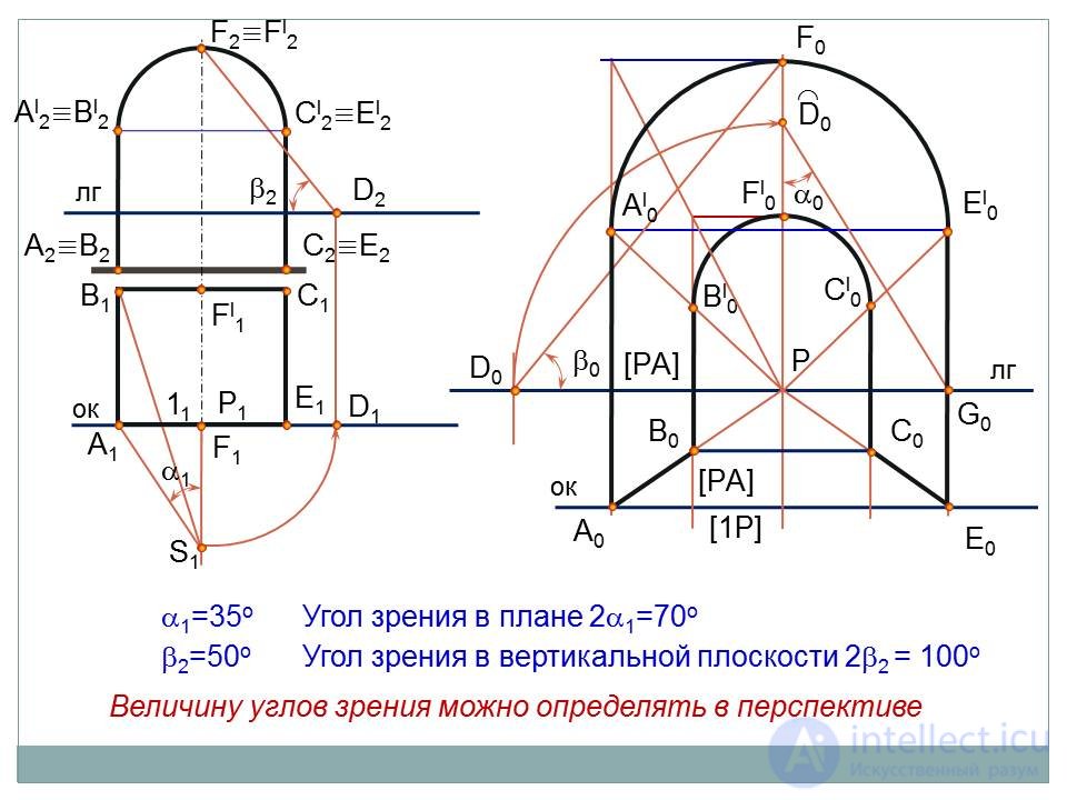   Frontal perspective 