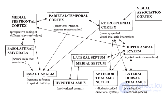 data representation and memory