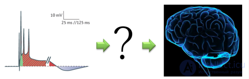 data representation and memory