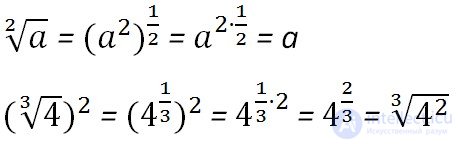   Properties of arithmetic roots 