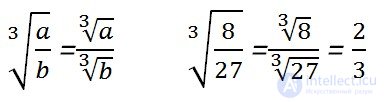   Properties of arithmetic roots 