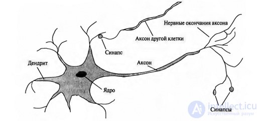   Neurology in artificial intelligence 