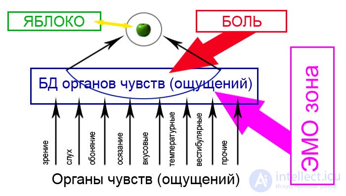 Modeling human reasoning 8 Concepts