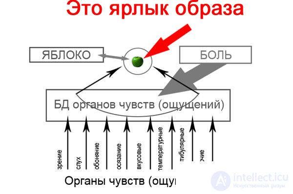 Modeling human reasoning 8 Concepts