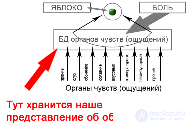 Modeling human reasoning 8 Concepts