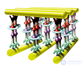   Molecular electronics 