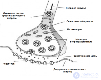   Artificial neuron 