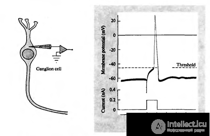   Artificial neuron 