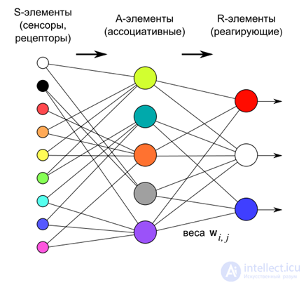 Perceptron, convolution networks