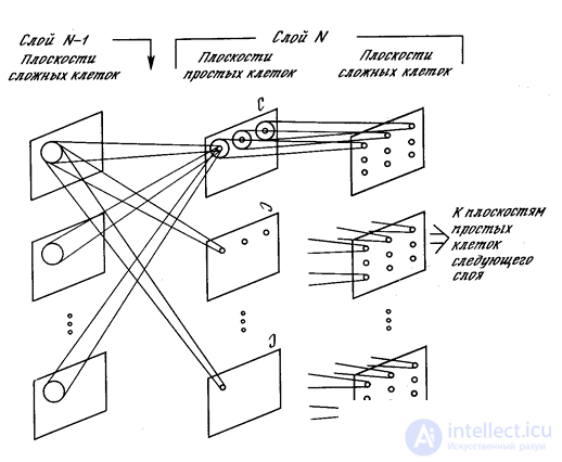 Perceptron, convolution networks