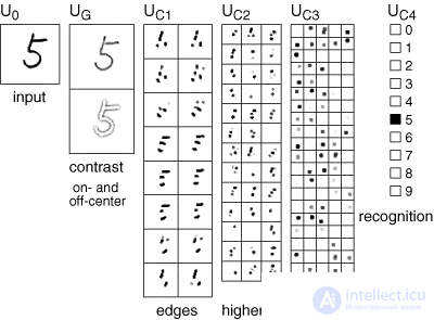 Perceptron, convolution networks