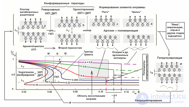   Wave neural networks.  Background activity 