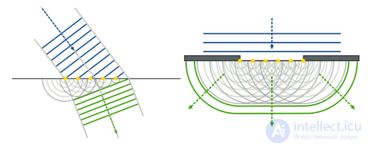   5. Waves of the brain 