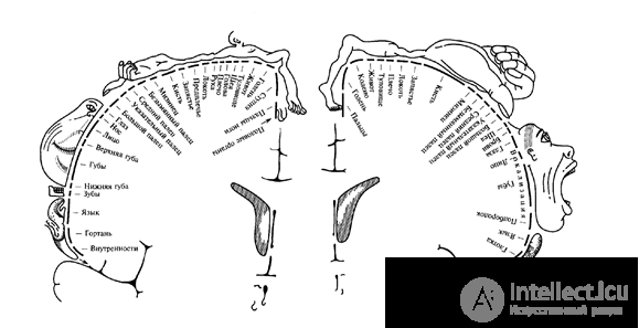 Projection system