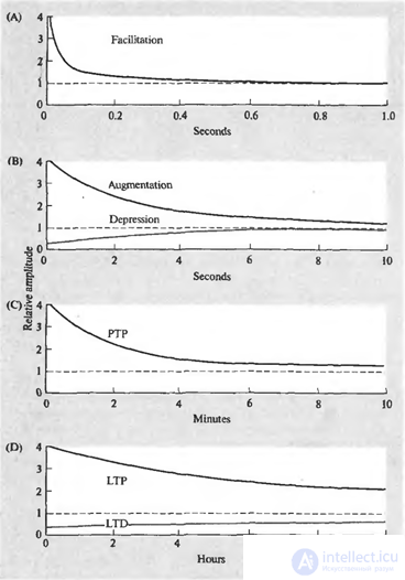 Selection of factors in the wave networks