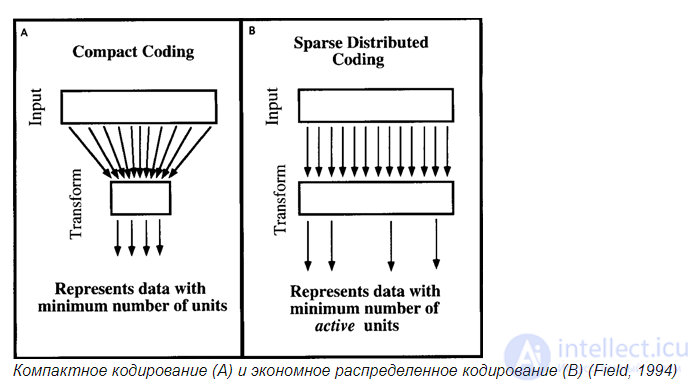 Selection of factors in the wave networks