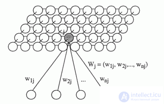   Spatial self-organization 