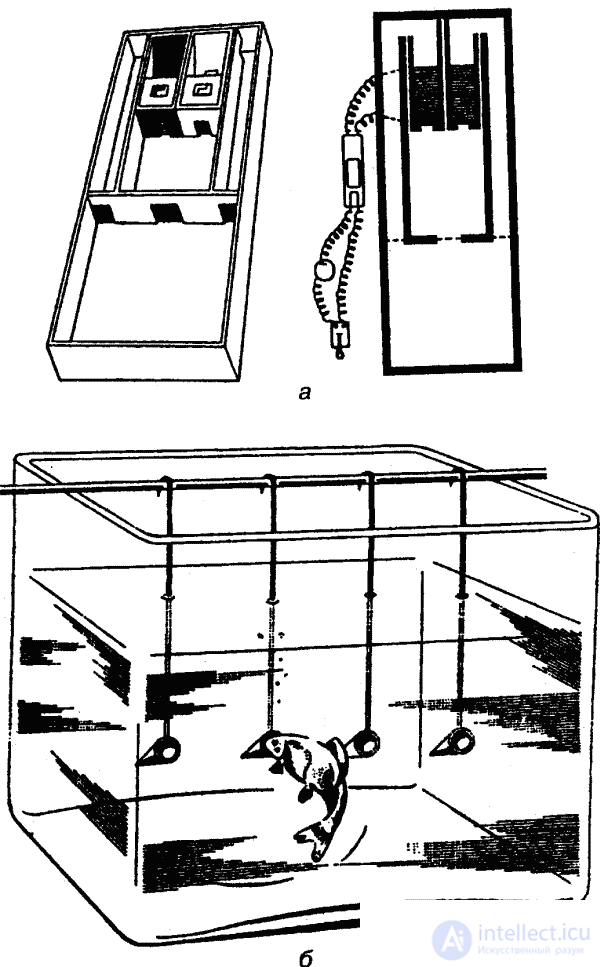 1.2.  The subject, tasks, methods and significance of zoopsychology