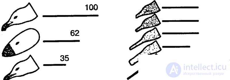   2 INDUCTIVE BEHAVIOR 