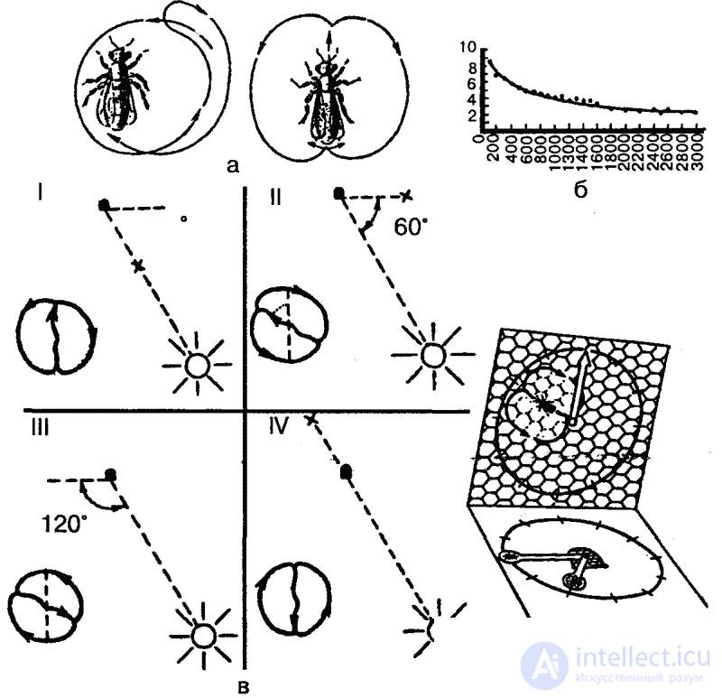   9 PERCEPTIVE PSYCHE 