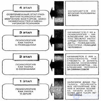 2. Psychology in the structure of modern sciences