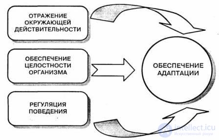 3. The concept of the psyche and its evolution