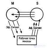 5. Psychological theory of activity