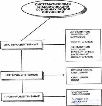 7.  Sensation-Mental processes