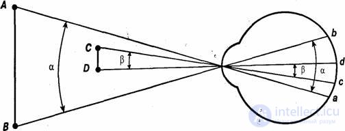 8 Perception types and properties, physiological mechanisms of perception