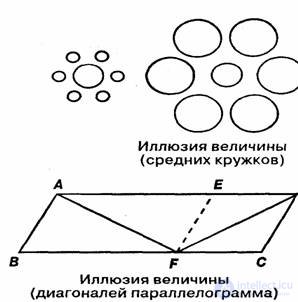 8 Perception types and properties, physiological mechanisms of perception