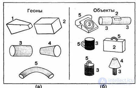 8 Perception types and properties, physiological mechanisms of perception