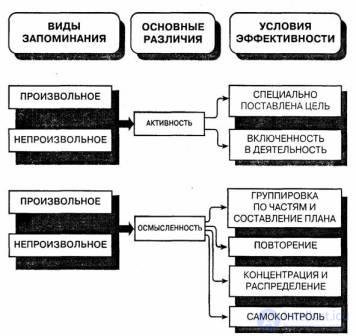 10. Mental processes Memory, memorization, preservation, reproduction, recognition