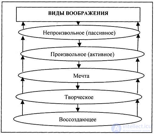 11. Mental processes Imagination.  Imagination concepts