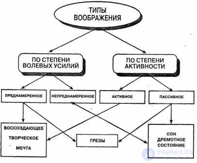 11. Mental processes Imagination.  Imagination concepts