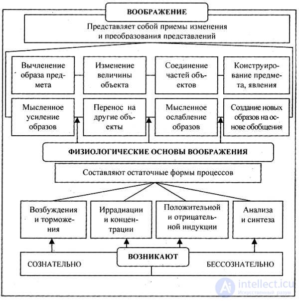 11. Mental processes Imagination.  Imagination concepts