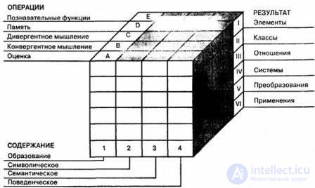 12 Mental Processes Thinking