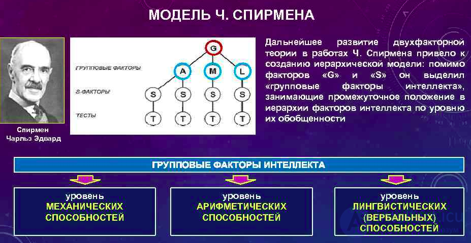 Intelligence - Concept and Essence: Theoretical and Experimental Approaches to the Study of Thinking, Its Distinction from Thinking, the g-Factor