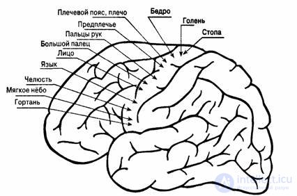 15. Mental Processes