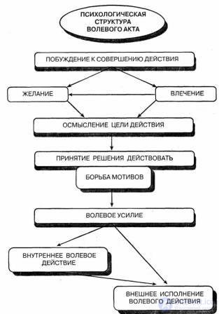 15. Mental Processes