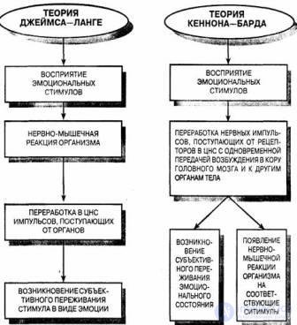 16. Mental processes . Emotions