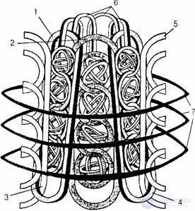 18. Human adaptation and functional state of the body