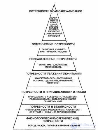 22. Orientation and motives of the individual. Needs