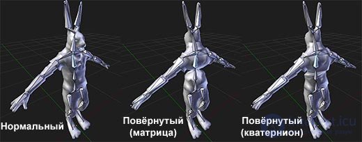 Vectors in Linear Algebra and Programming