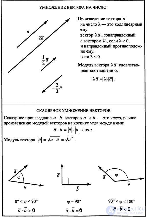 Vectors in Linear Algebra and Programming