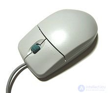 Computer mouse