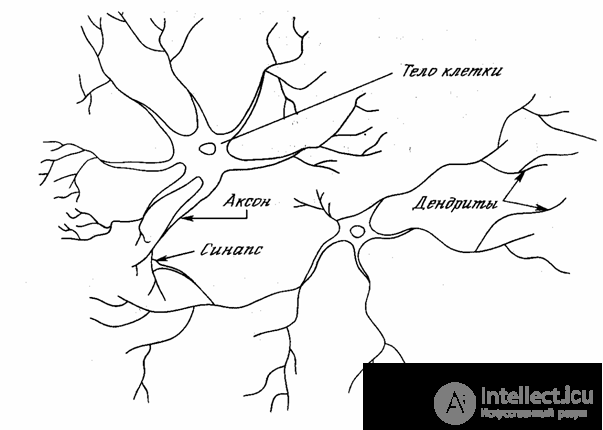   SYSTEMS OF ARTIFICIAL INTELLIGENCE 