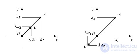   The property of multiplying a vector by a number 