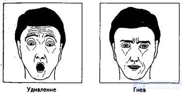   3. First impression.  Face and interpretation of facial expressions in communication. 