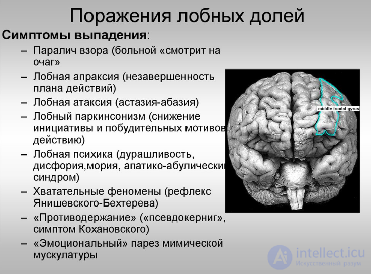 Дисциркуляторный характер изменений вещества головного мозга